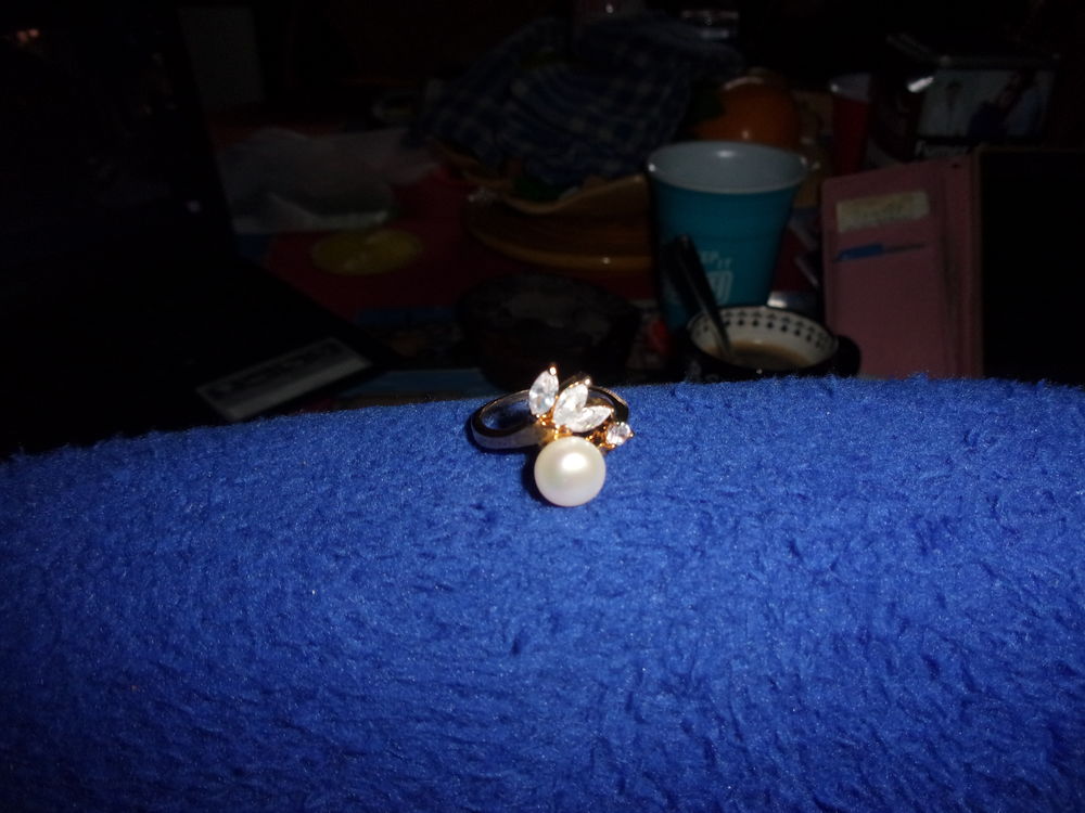 bague 10 Le Faou�t (56)