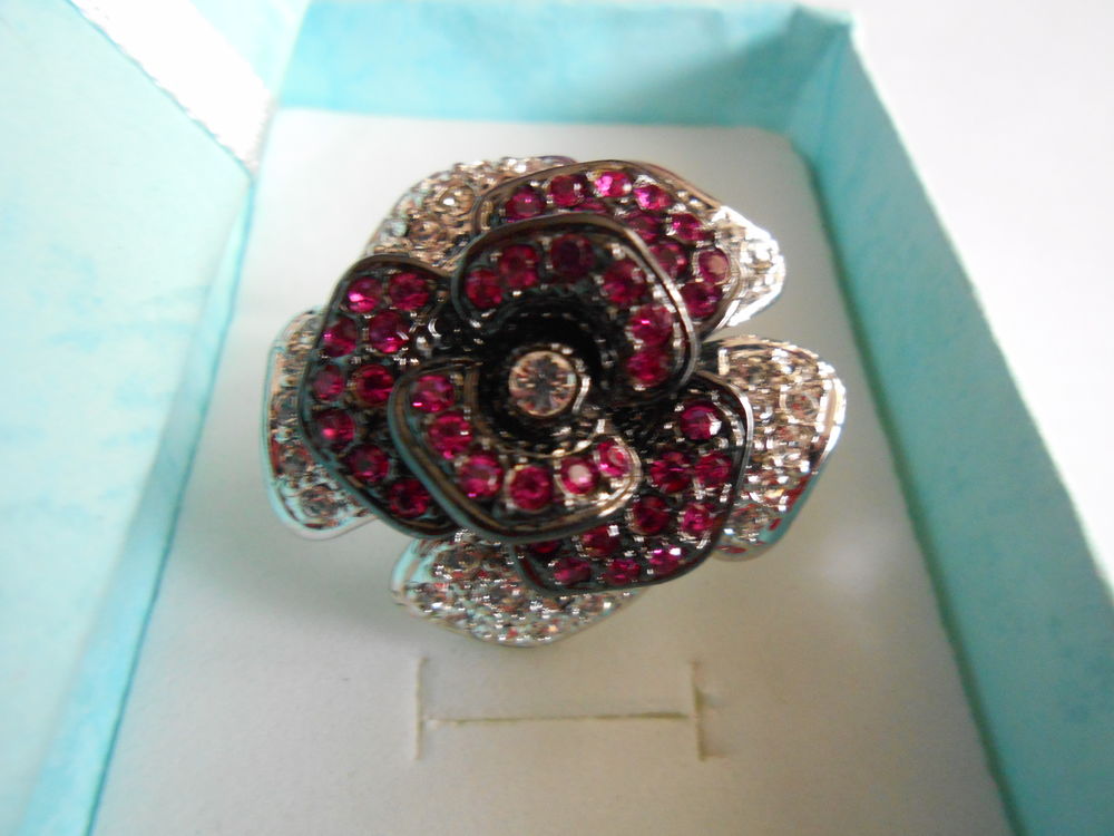 BAGUE 30 Chevigny-Saint-Sauveur (21)