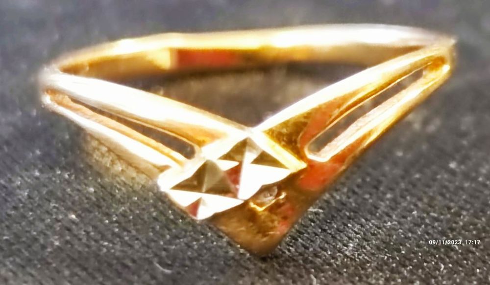 bague 120 Concarneau (29)