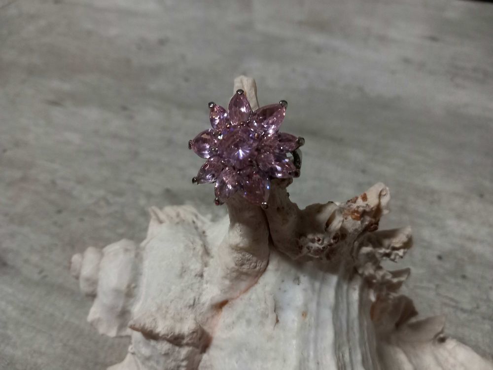 Bague 2 Brignoles (83)