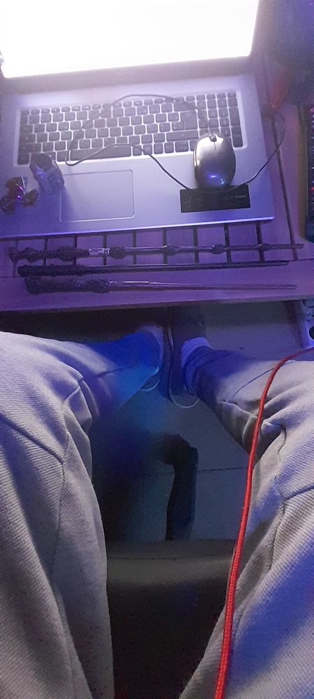 baguette Harry Potter lot de 3 25 Tendron (18)