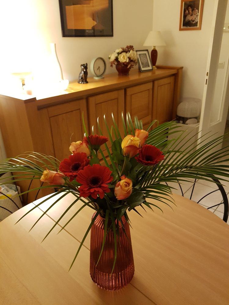 bahu bas 350 Villefranche-sur-Sa�ne (69)