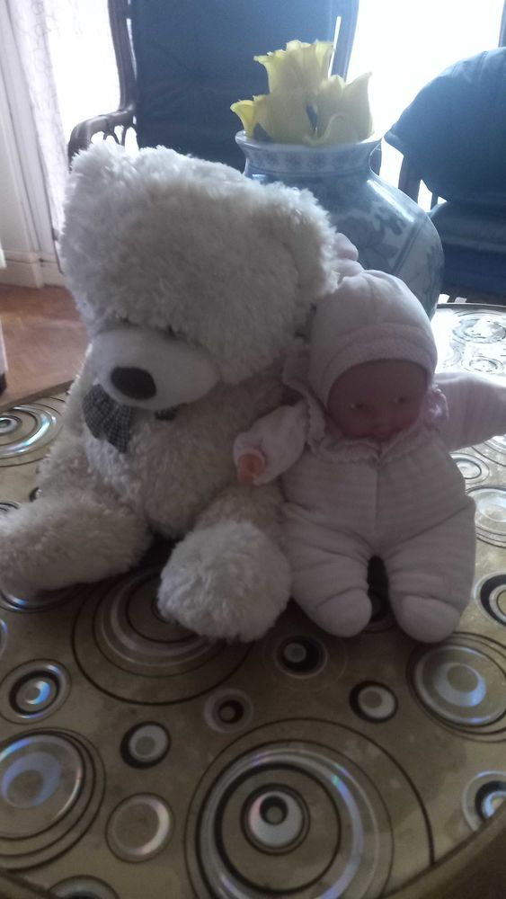 baigneur et ours peluche 10 Fontenay-sous-Bois (94)