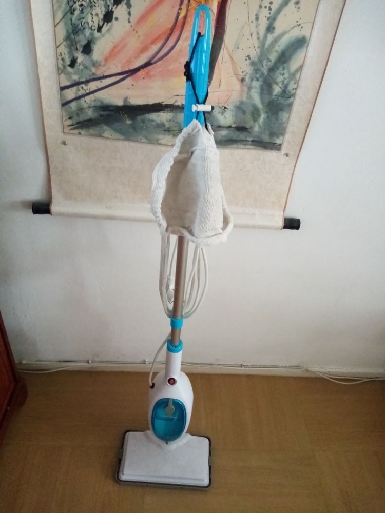 Balai vapeur 50 Le Loroux-Bottereau (44)