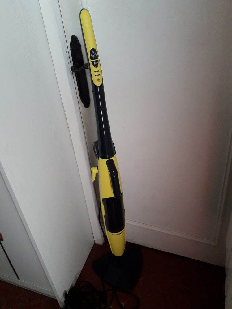 balai vapeur 45 Saint-Galmier (42)