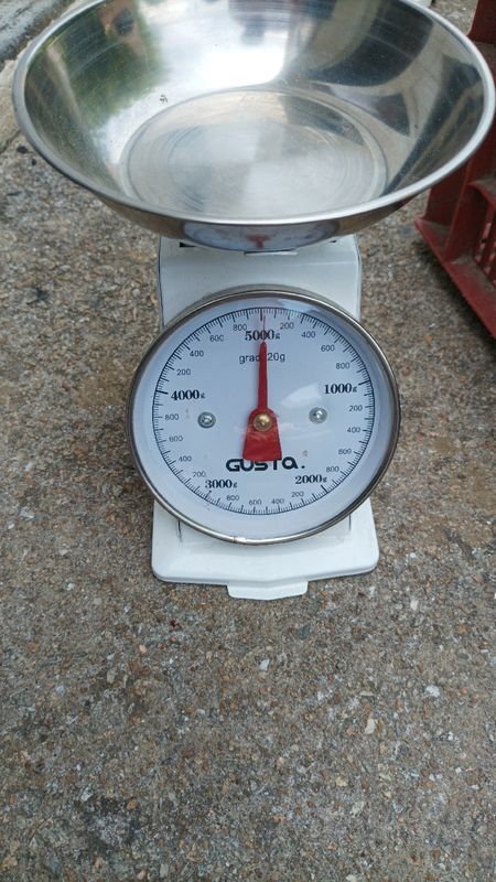 Balance de cuisine 15 Pluneret (56)