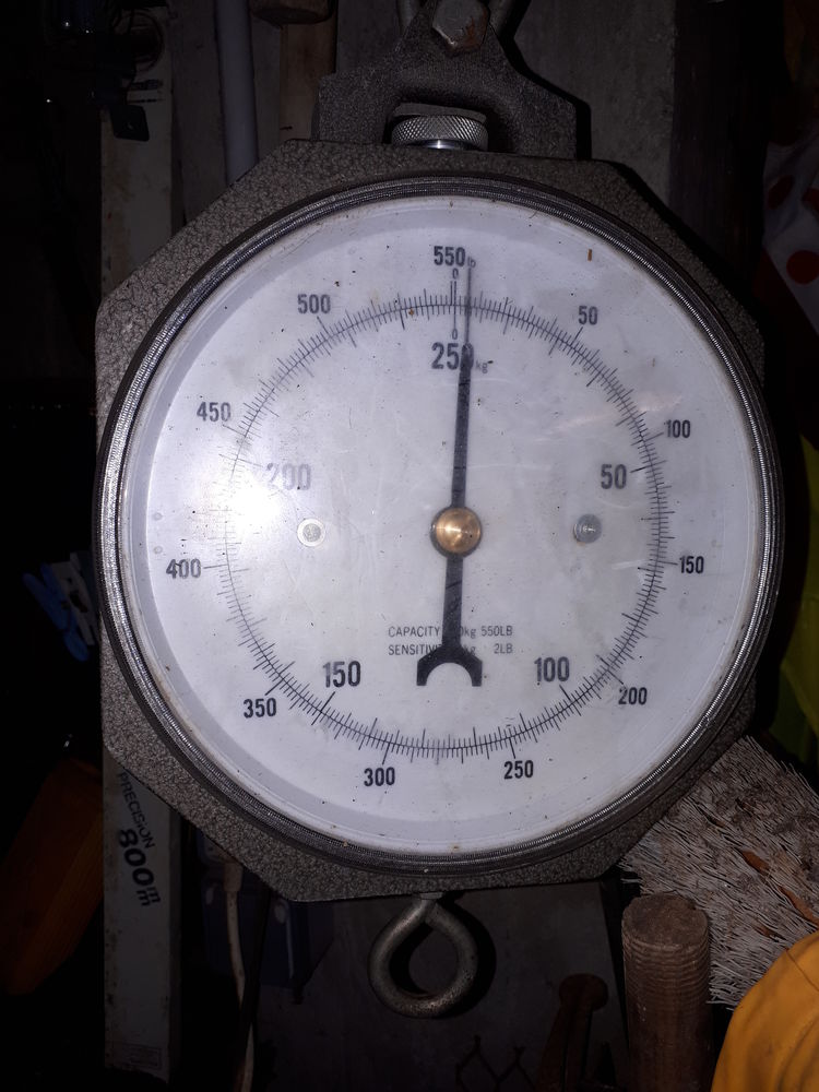 BALANCE A GIBIER 50 Kerlaz (29)