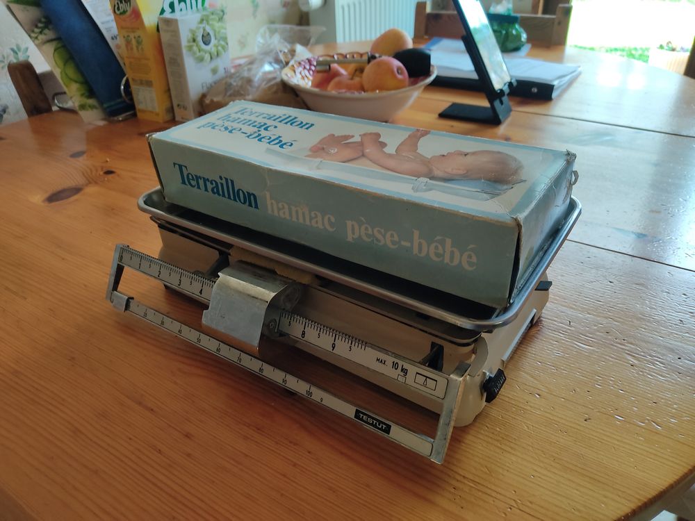 BALANCE ET HAMAC PESE BEBE 10 Malissard (26)