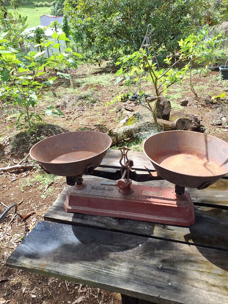 Balance romaine vintage 75 Baie-Mahault (97)