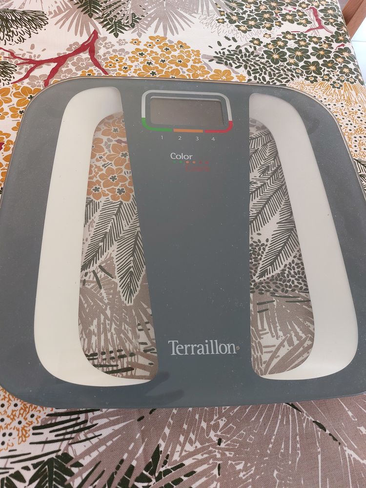 balance TERRAILLON � piles 15 Breuillet (17)