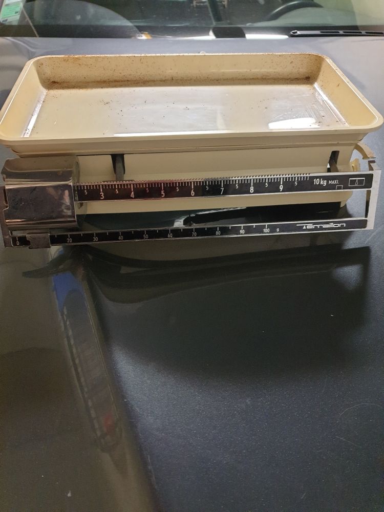 balance terraillon 15 Fleury-sur-Orne (14)