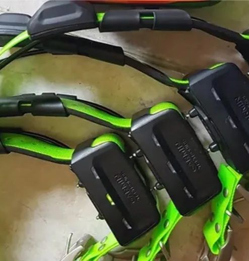 Balise GPS Alpha100f Colliers Garmin tt15f 200 Blois (41)