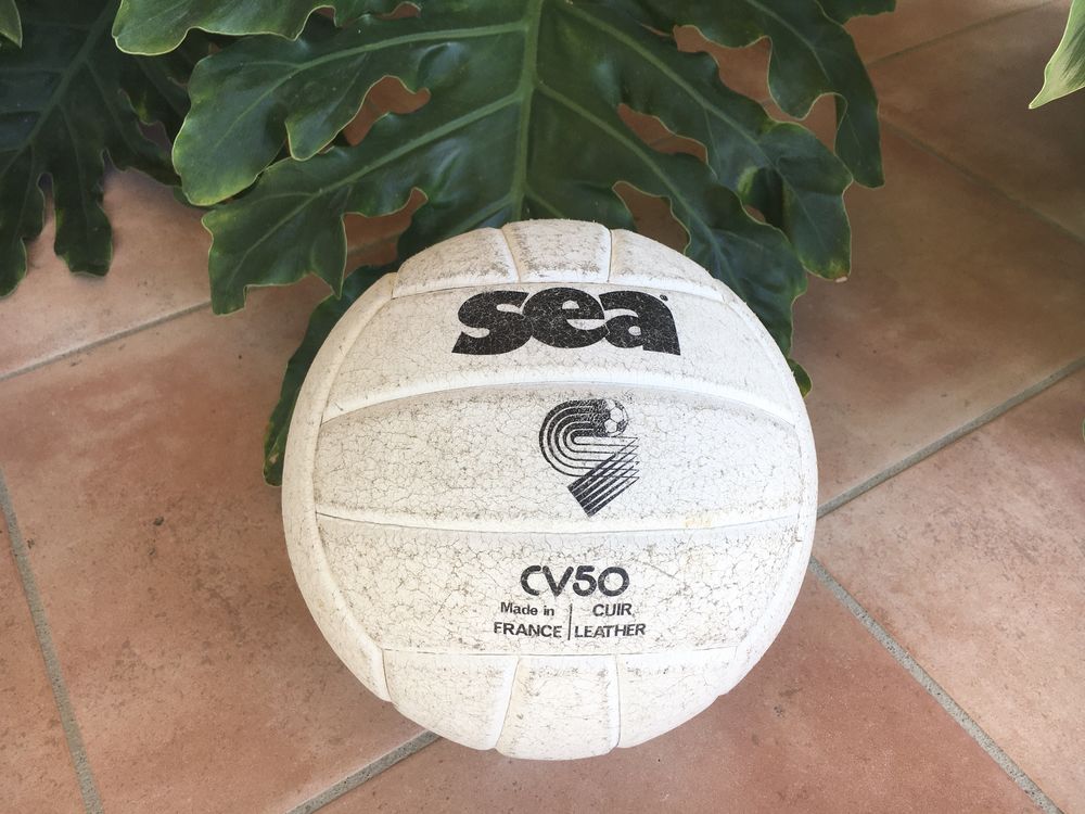 Ballon de Volley en cuir véritable, blanc, made in France 25 L'Isle-Jourdain (32)