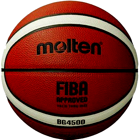 BALLON 50 Sainte-Gemmes-sur-Loire (49)