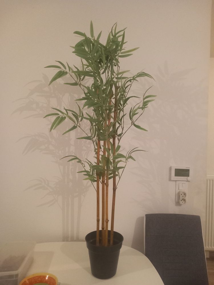 BAMBOU ARTIFICIEL 1.20 20 Holtzheim (67)