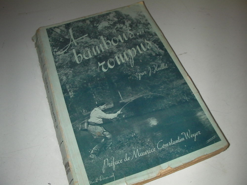 � bambous rompus 15 Roques (31)