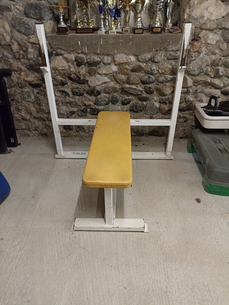 Banc professionnel d�velopper coucher 100 Meysse (07)