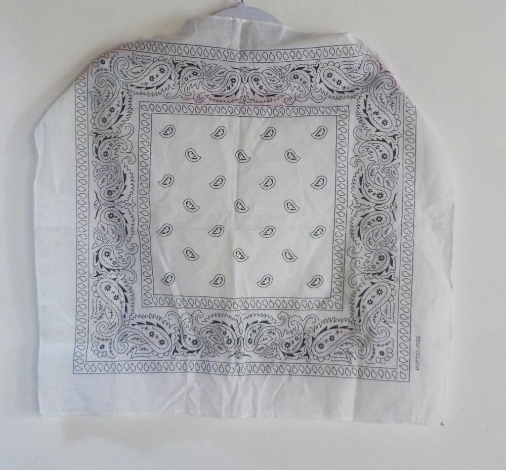 BANDANA BLANC AVEC DESSINS 5 Bubry (56)