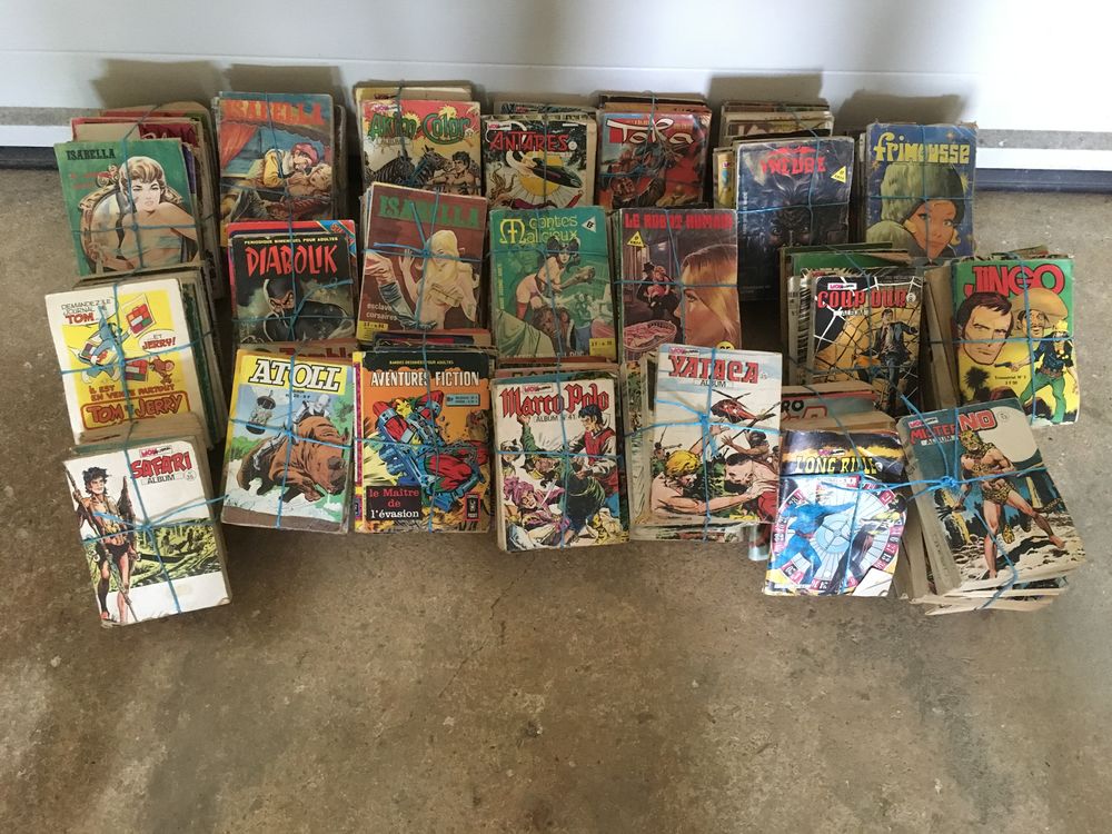 Bandes Dessin�es 100 Saint-Georges-du-Bois (72)