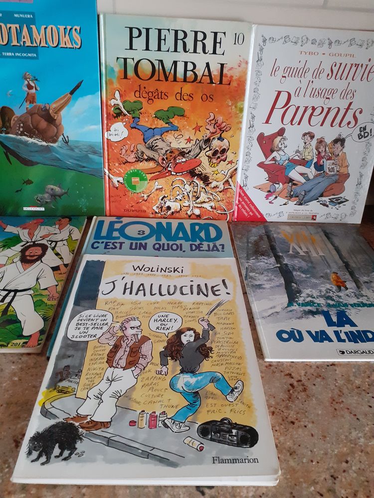 Bandes Dessin�es 8 Varois-et-Chaignot (21)