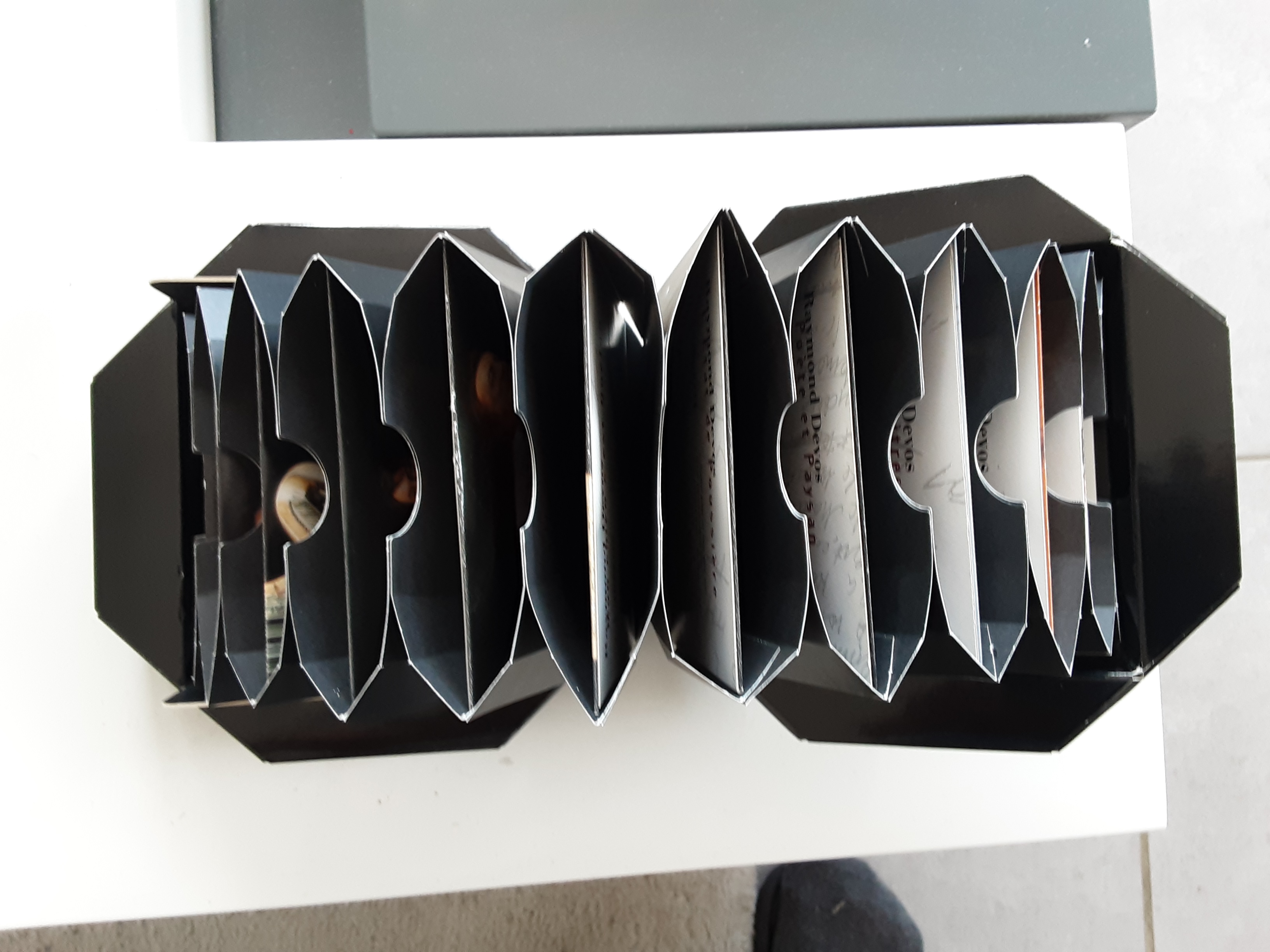 Bandon�on Raymond Devos 250 Montpellier (34)