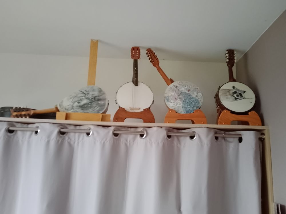 Banjos mandolines avec peintures d'animaux 150 Chahaignes (72)