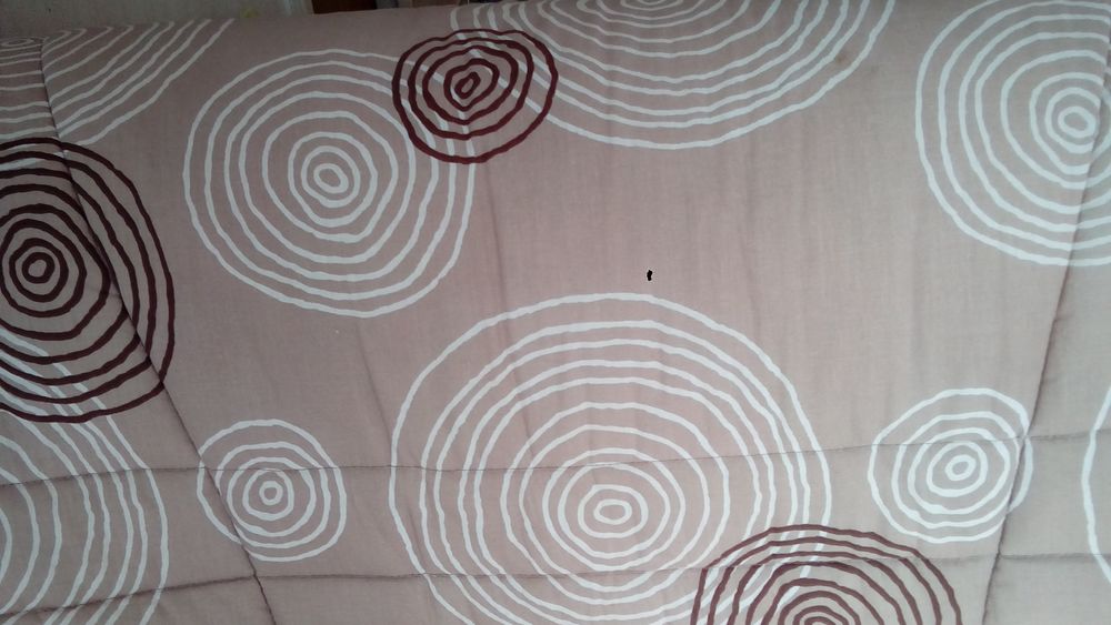 BANQUETTE LIT 40 Le Pr�-Saint-Gervais (93)