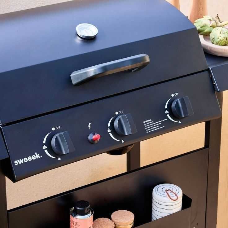 Barbecue au gaz Madeleine noir 235 Rouen (76)