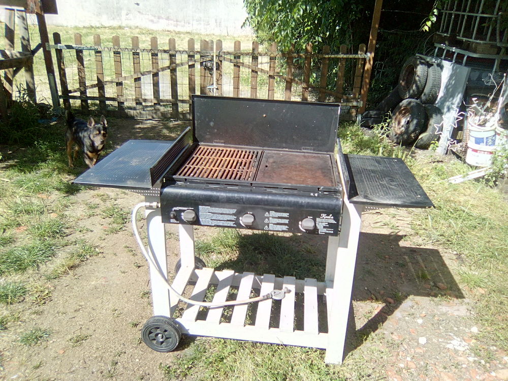 barbecue a gaz 50 Libourne (33)