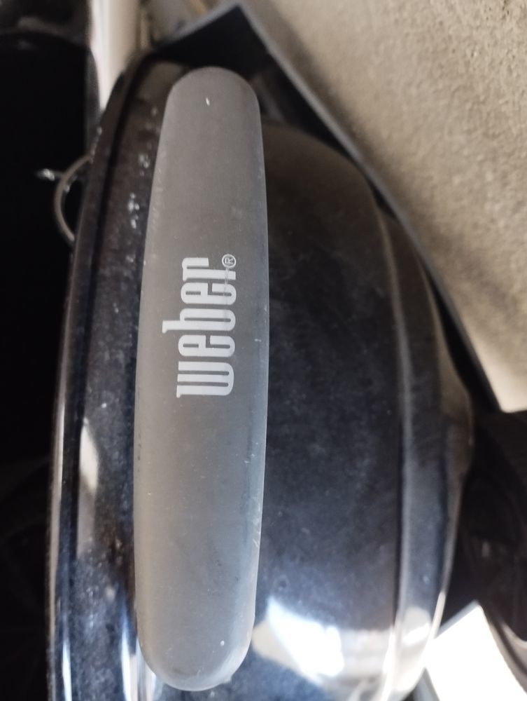 Barbecue 80 Al�s (30)