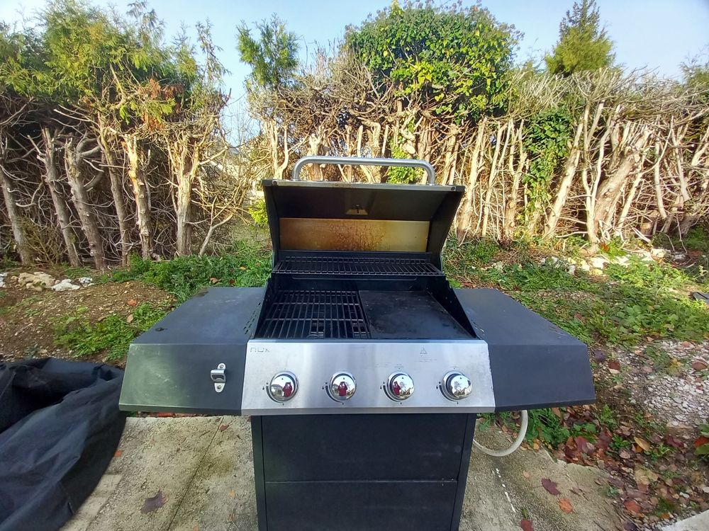 Barbecue gaz 100 Nod-sur-Seine (21)