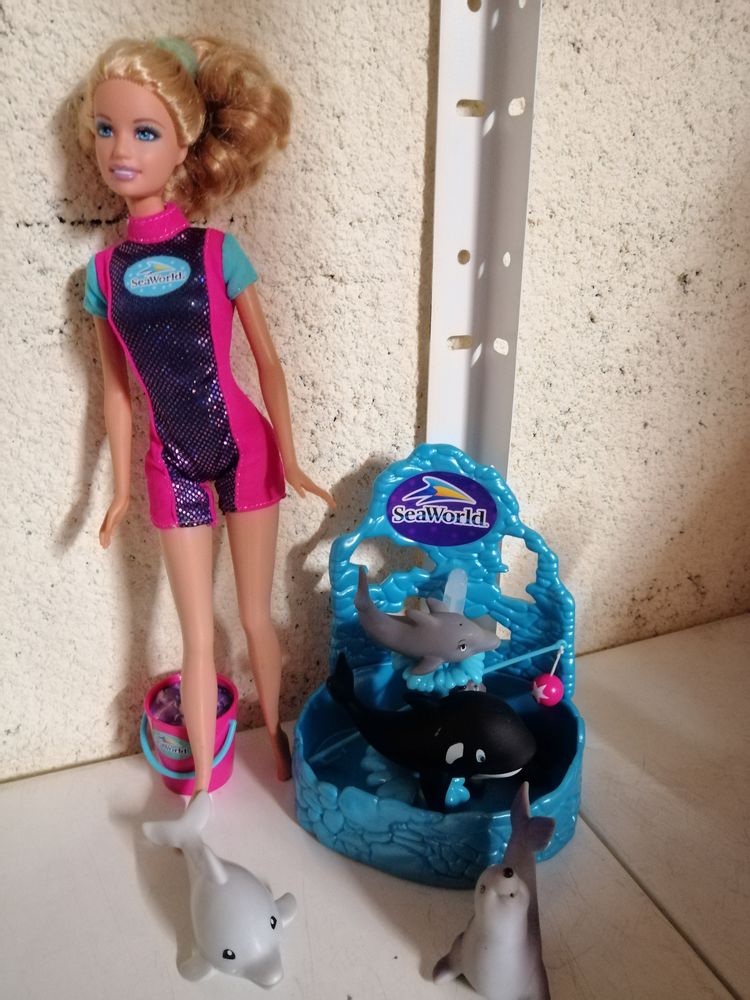 Barbie et accessoires 1 Castelnau-de-L�vis (81)