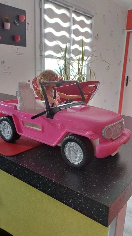 barbie et sa voiture 10 Cou�ron (44)