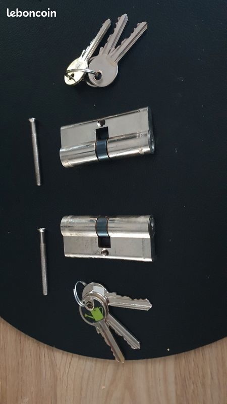 Barillets 7 Saint-Georges-de-Didonne (17)