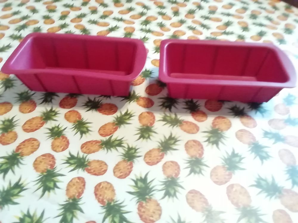 2 barquettes neuves en silicone pour p�tisserie 10 Noyelles-l�s-Vermelles (62)