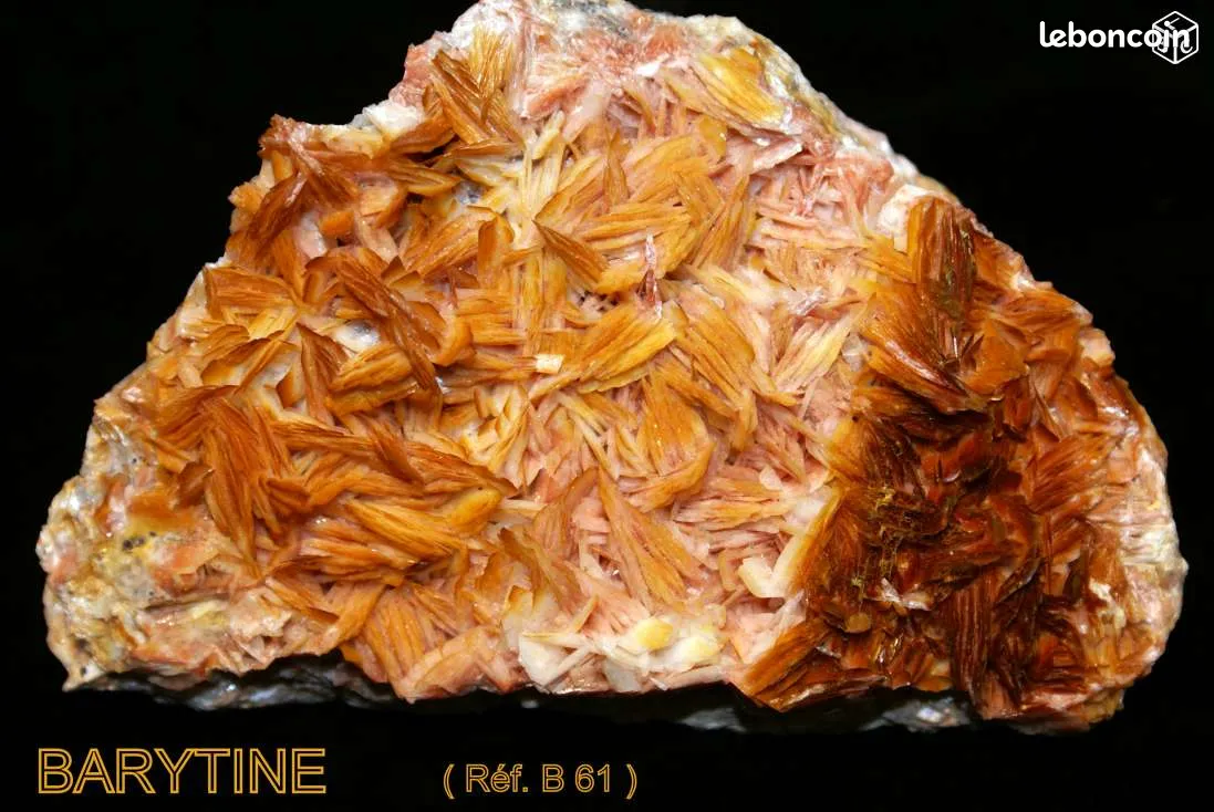 BARYTINE 61 : Min�raux de collection 35 Saint-M�dard (16)