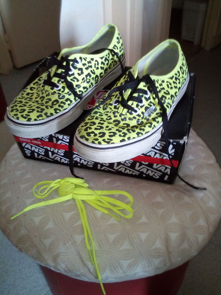 basket vans occasion