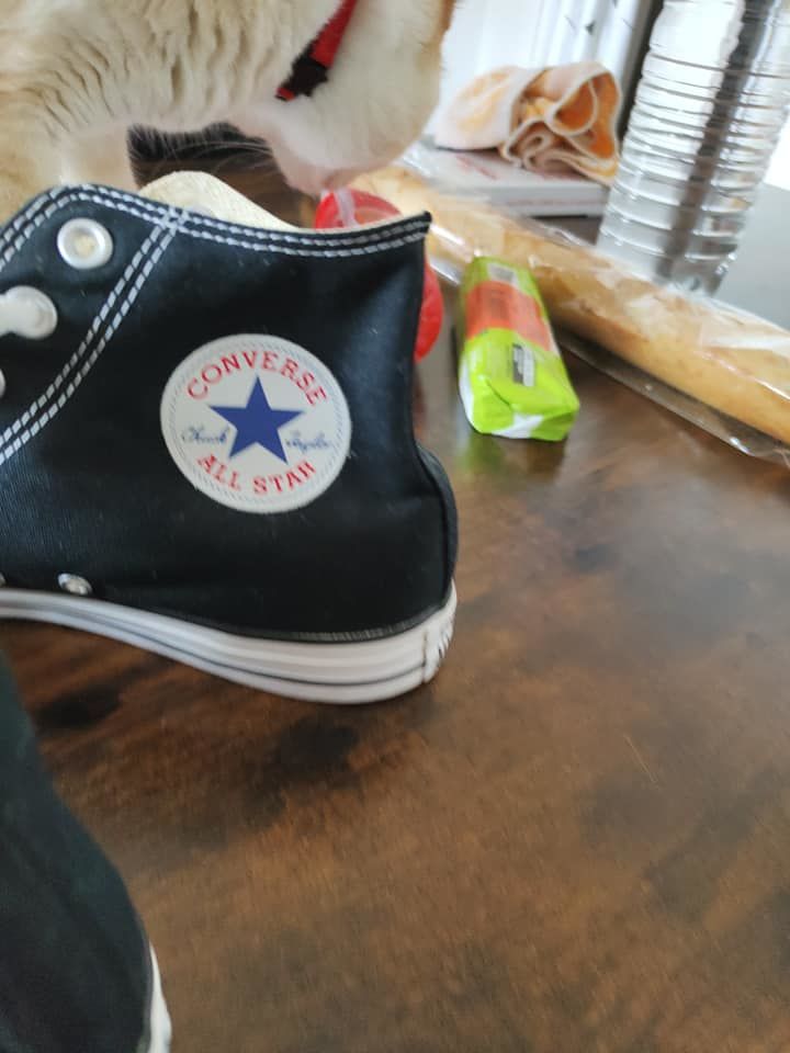 basket converse 20 Fleurance (32)