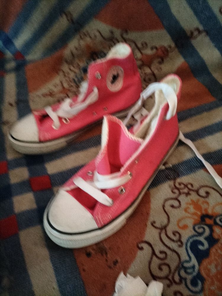 Basket fourr�e mapleaf pointure 37 neuf 12 Cachan (94)