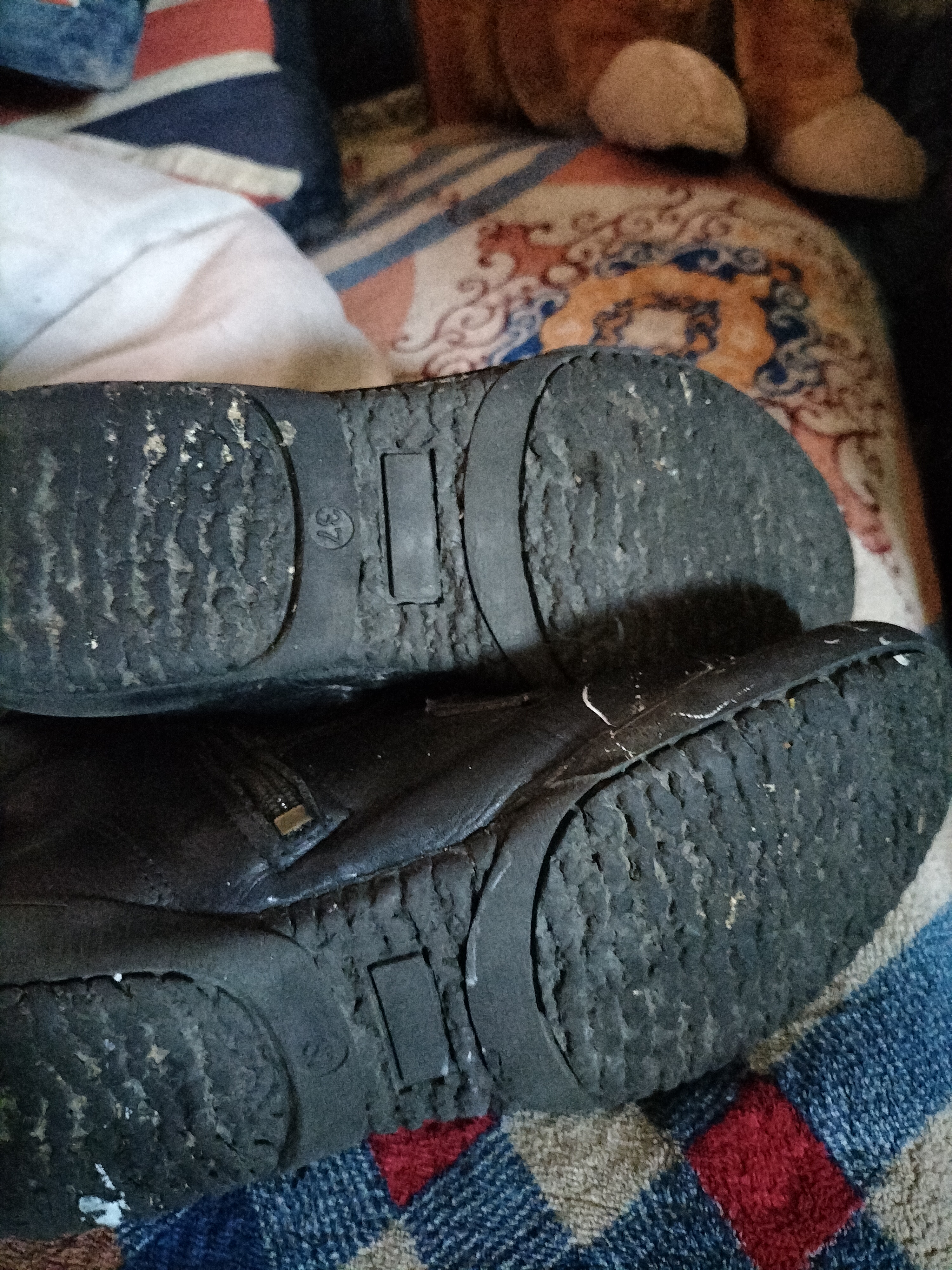 Basket montante cuir salamander France pointure 37 tr�s bon 22 Cachan (94)