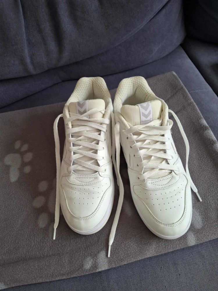 basket 10 Perpignan (66)