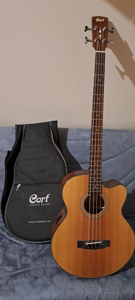 BASSE ACOUSTIQUE SJB5F 350 Anoye (64)