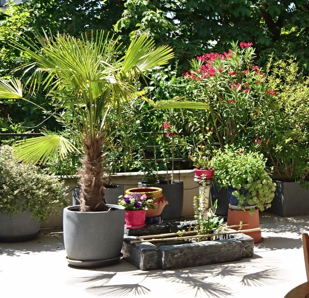 Bassin en polyester avec pompe pour fleur aquatique 90 Chabeuil (26)