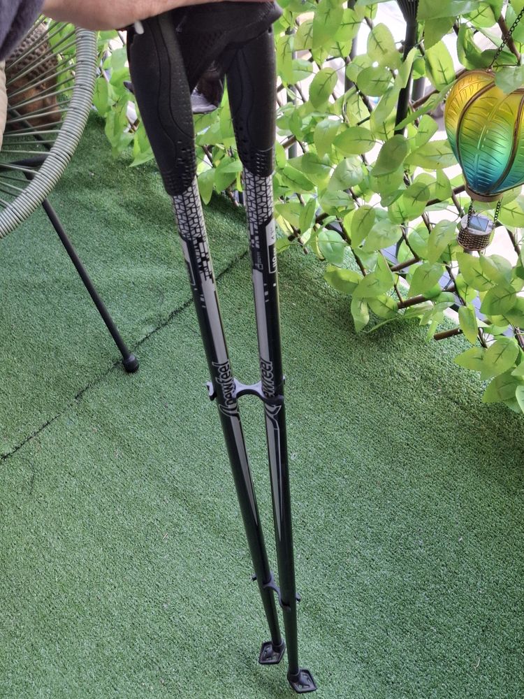 B�tons de marche 20 Reims (51)