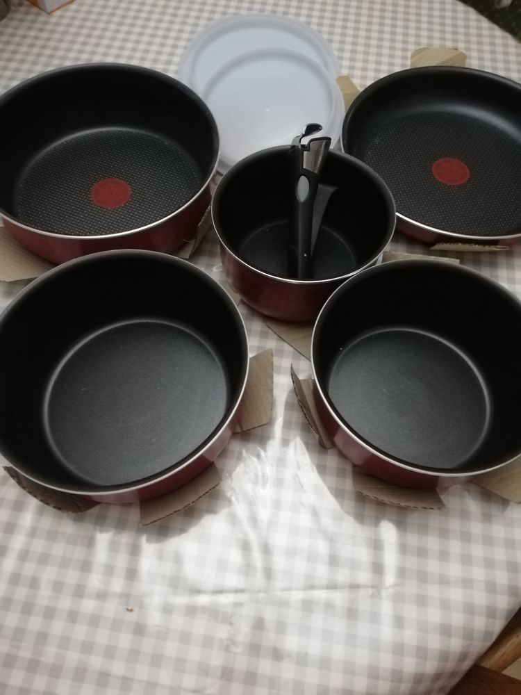 Batterie de cuisine TEFAL INGENIO 5 pieces 60 Velaux (13)