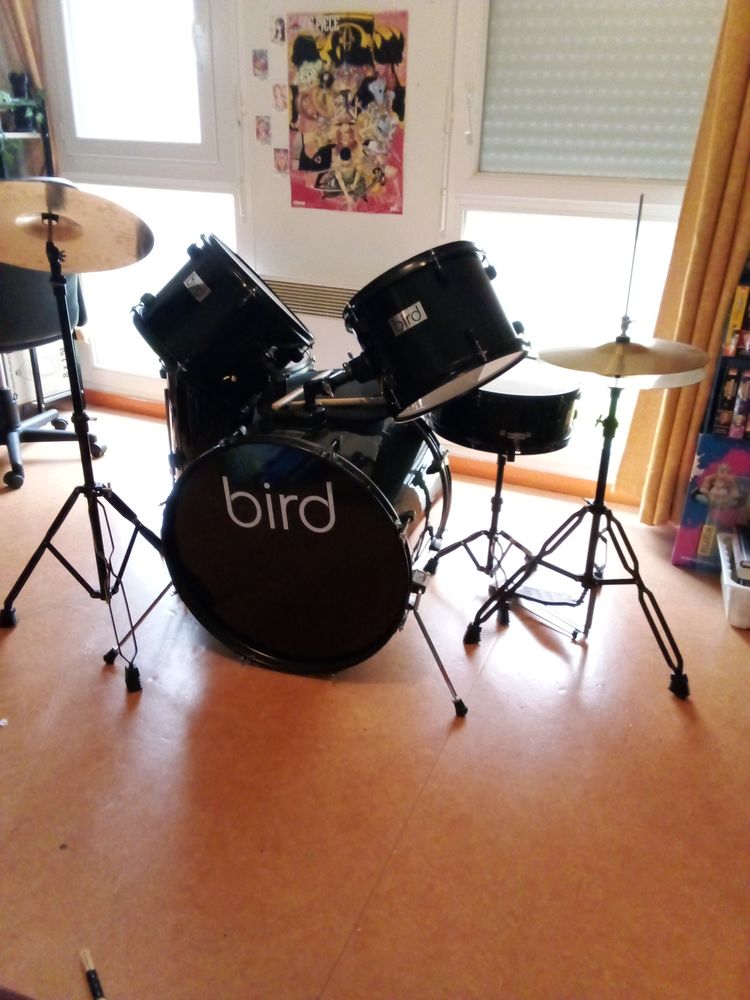 Batterie d�butant BIRD 450 Amiens (80)