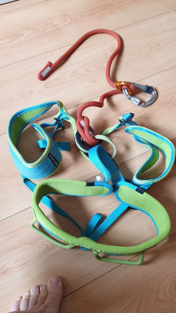 Baudrier EDELRID + longe +mousqueton PETZL 70 Vaulx-en-Velin (69)