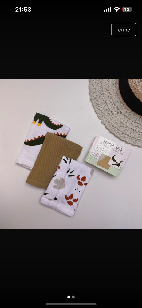 3 bavettes 1 Guilers (29)