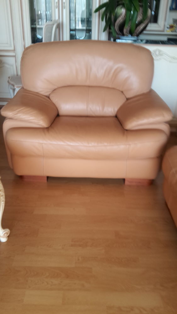  Beau Fauteuil confortable 60 Le Cannet (06)