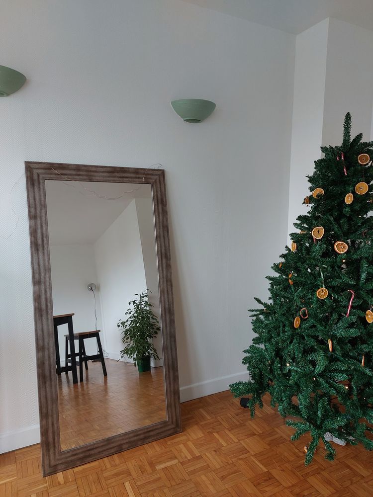 BEAU MIROIR ETINCEL 60 X 140 CM 79 Chartres (28)